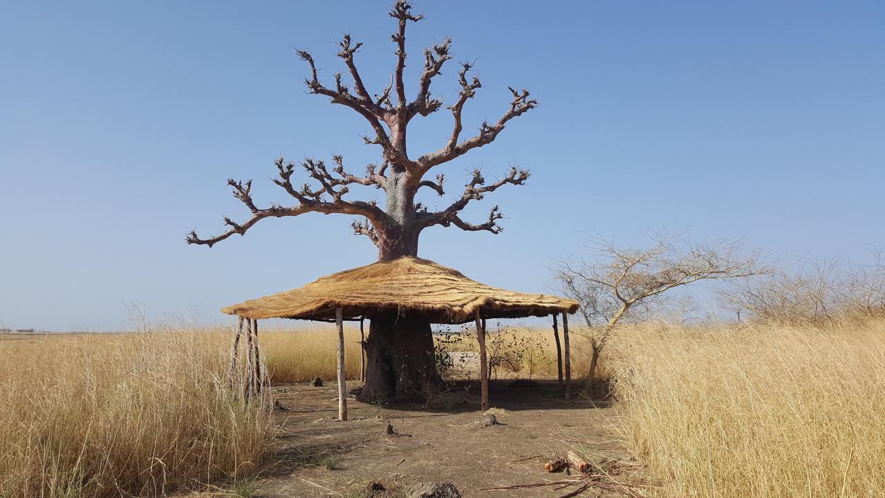 Ecolodge de Simal Extérieur photo